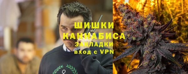 индика Вяземский